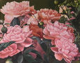 PEONIAS EN EL JARDIN