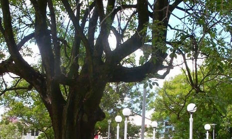 Sancti Spiritus HOY Fotos