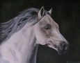 GALOPE