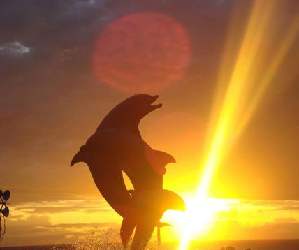 Delfines