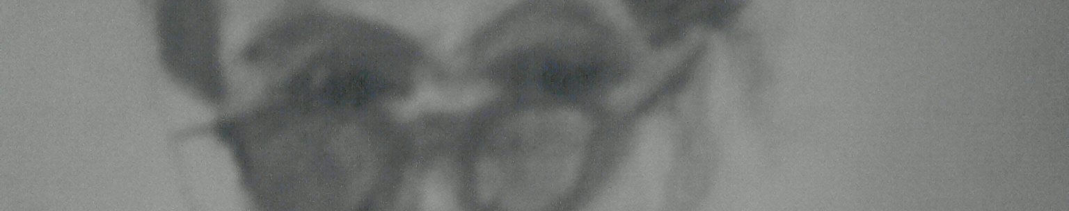 Imagen de portada