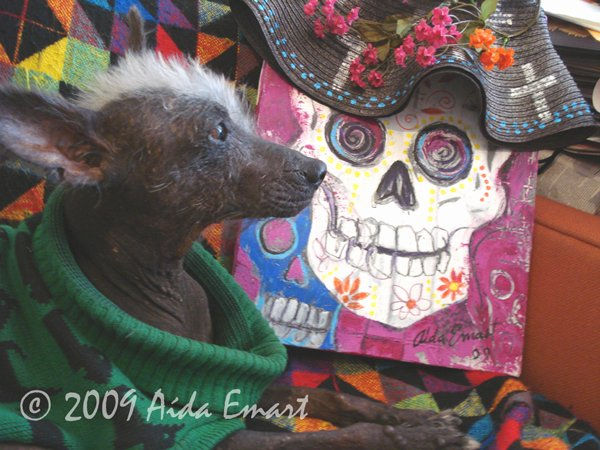 "Mi perro y mi sombrero que pasó a mejor vida"