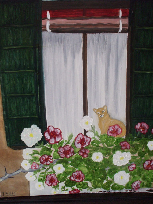 ventana con gato