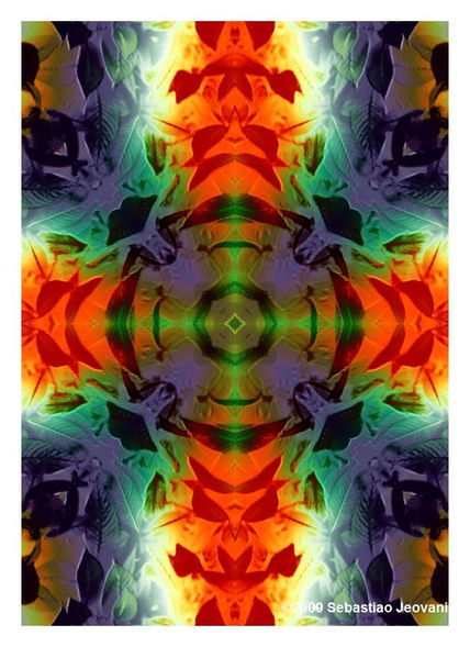Absrato 7