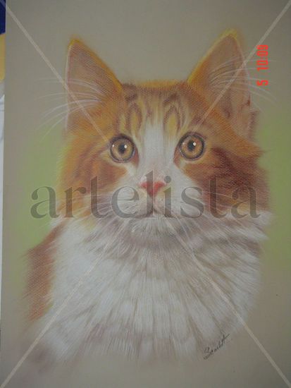 La NINI Oil Canvas Animals