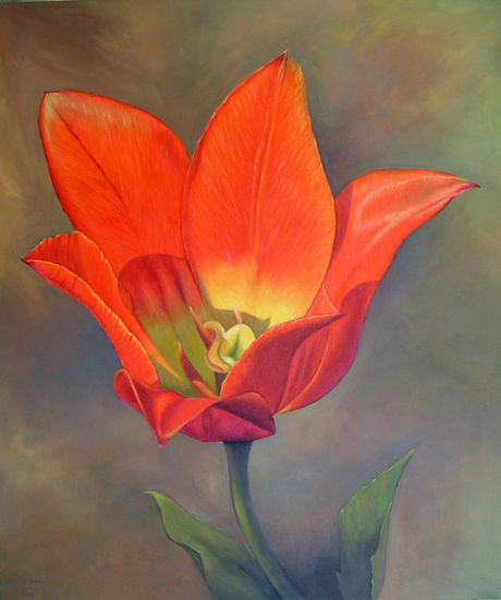 Tulipan Rojo Oil Textile Floral Painting