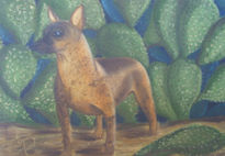 "xoloitzcuintle pinto"