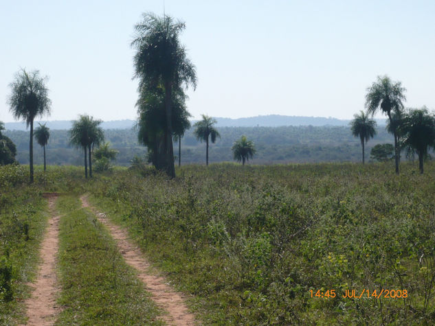 Caminito 