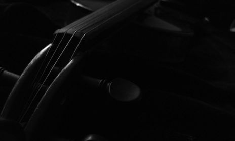 Violin dormido