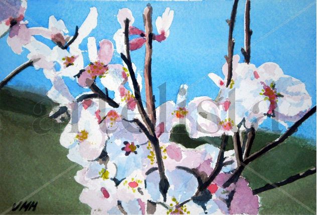 Flores almendro 1