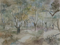 Bosque de carballos