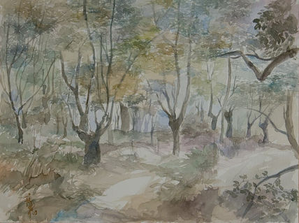 Bosque de carballos