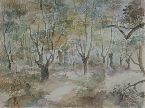 Bosque de carballos