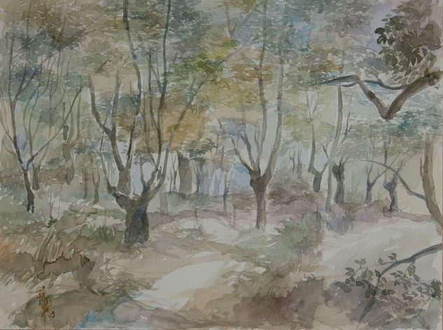 bosque de carballos Acuarela Papel Paisaje