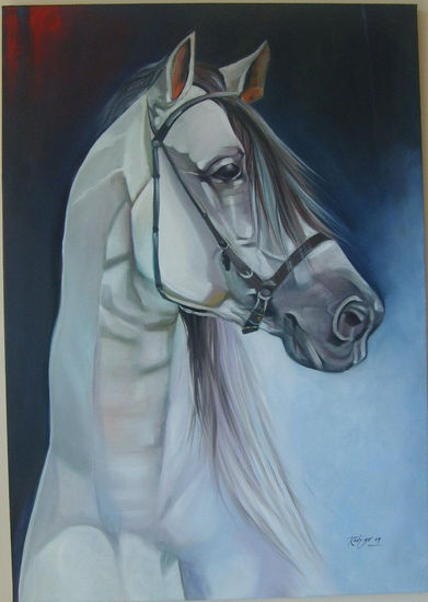 PASO FINO COLOMBIANO Oil Canvas Animals