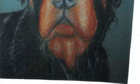 Dibujos y pinturas