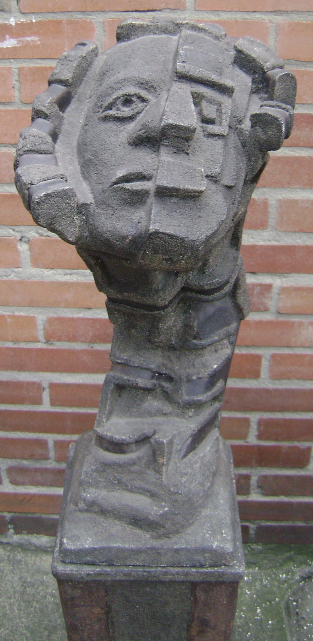 mimetizaje plastico