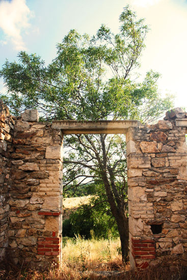 PUERTA A LA NATURALEZA 