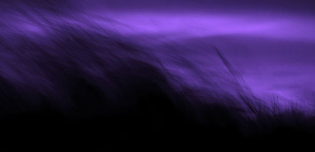 VIENTO MÓRBIDO Y MORADO Conceptual/Abstract Color (Digital)