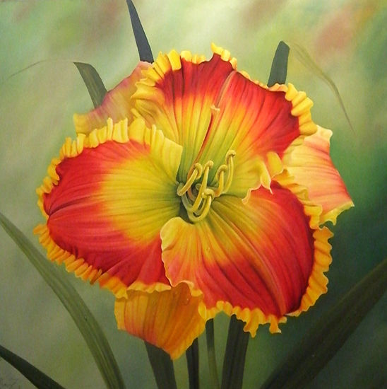 Hemerocalis Amarillo Oil Textile Floral Painting