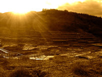 Salinas de Añana