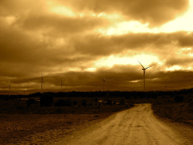 Campo de molinos Naturaleza Técnicas alternativas