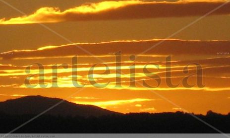 Cielo