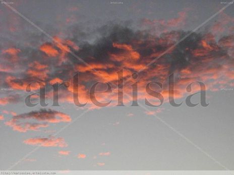 Sorpresa al Atardecer