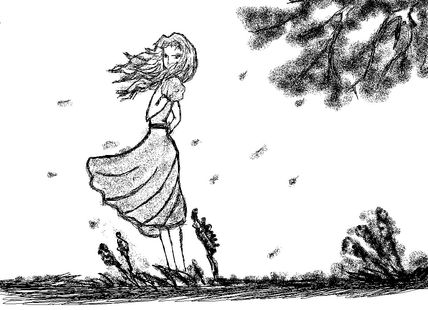 Viento