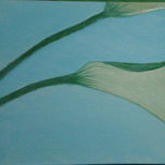 Cala thumbnail 1