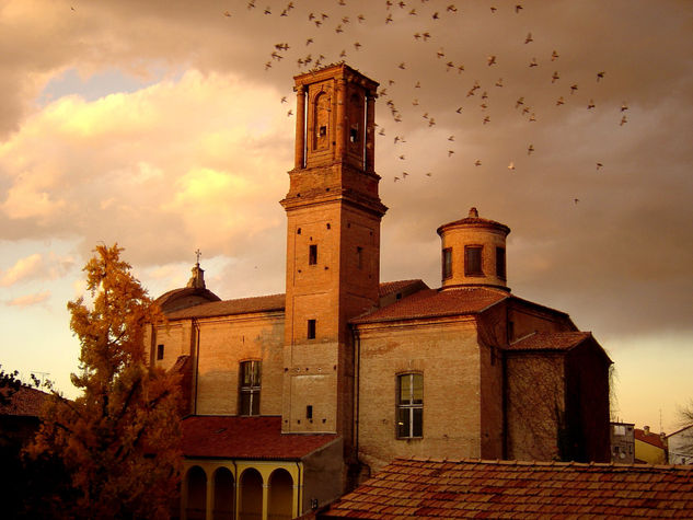 Al vuelo en el atardecer 