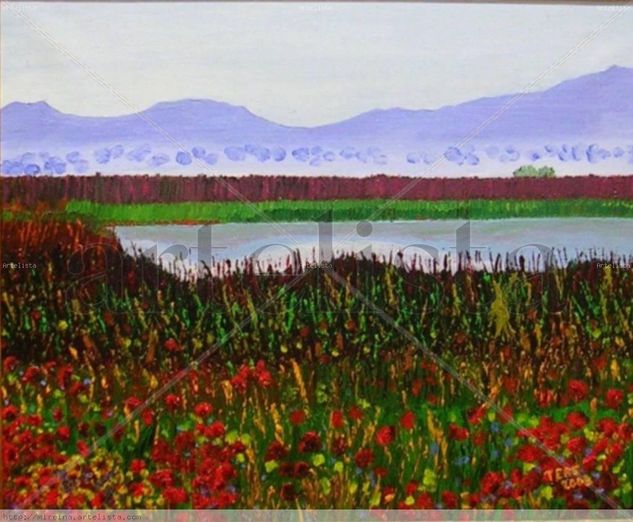 Paisaje de las Tablas de Daimiel Oil Canvas Landscaping