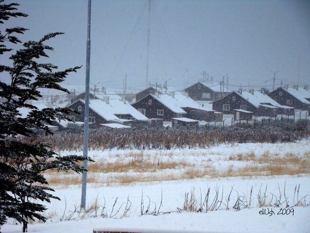 Invierno Ushuaia 2009 - II Nature Color (Digital)