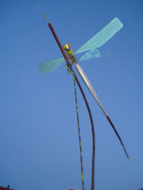 Libelula