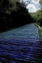 carretera y mar