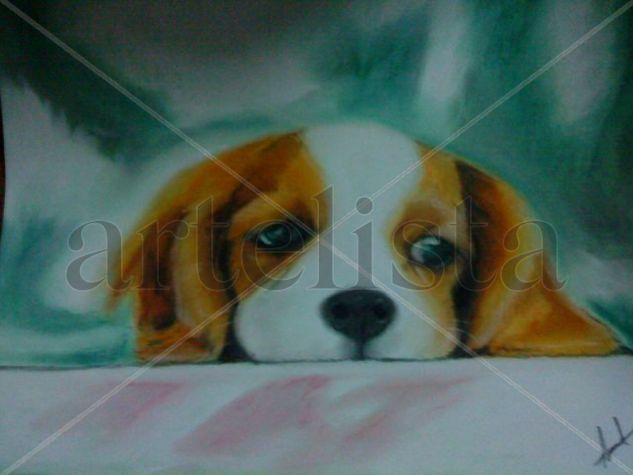 El Cachorro Pastel Cartulina Animales