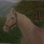 Caballos thumbnail 1