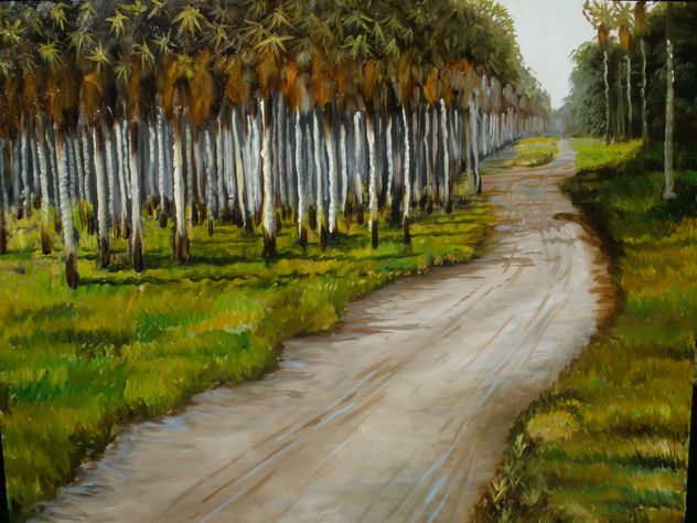 paisaje de camino chaqueño