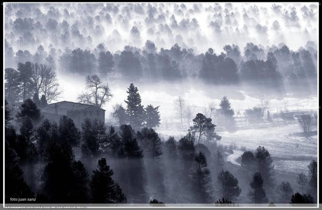 "Boires a la mariola" Naturaleza Blanco y Negro (Digital)