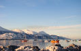 Mucha Nieve
