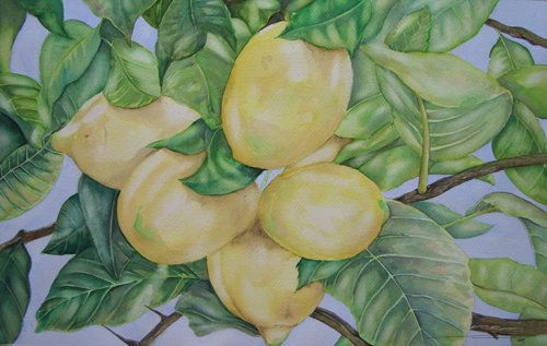 Mi limón, mi limonero... Watercolour Paper Landscaping