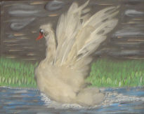 Cisne alzando vuelo