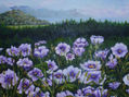 Flores silvestres
