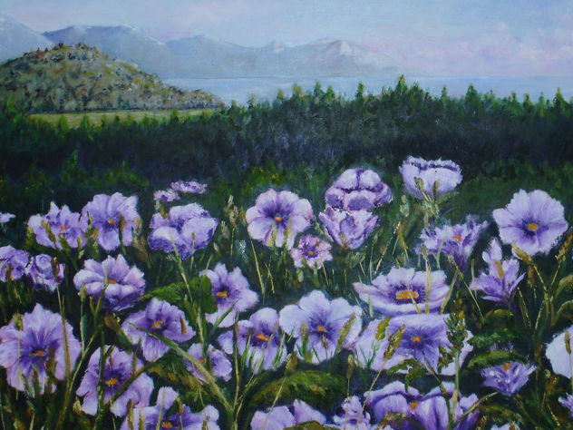 Flores silvestres