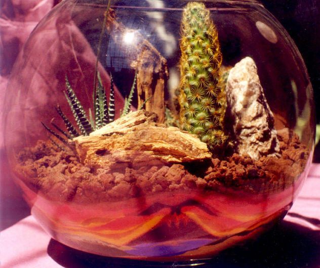 Paisaje con arena de colores