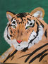 el tigre