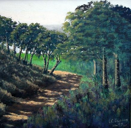 Contraluz - Camino...