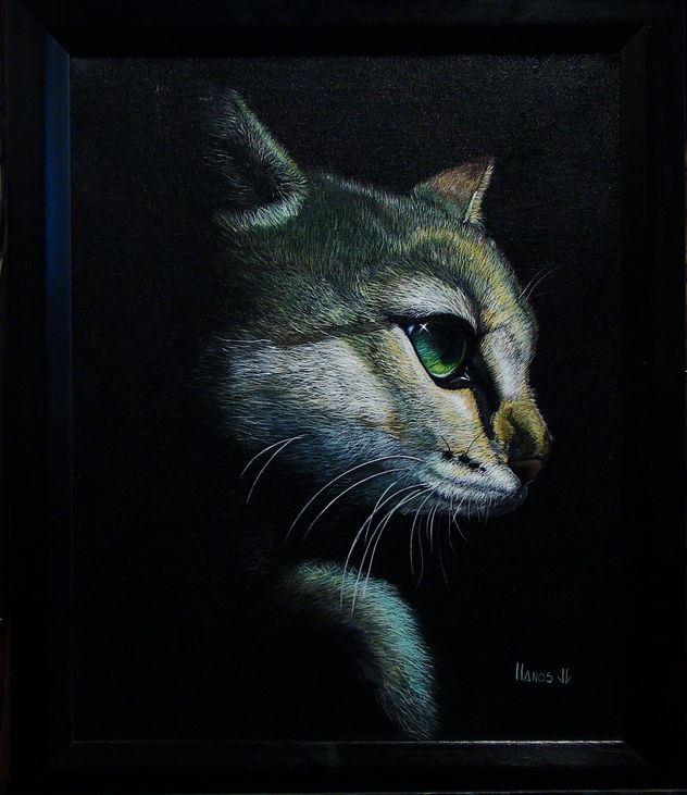 gato de perfil