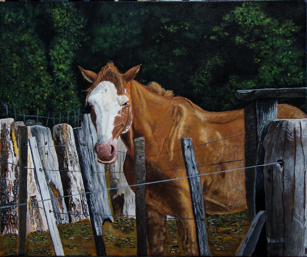 caballo