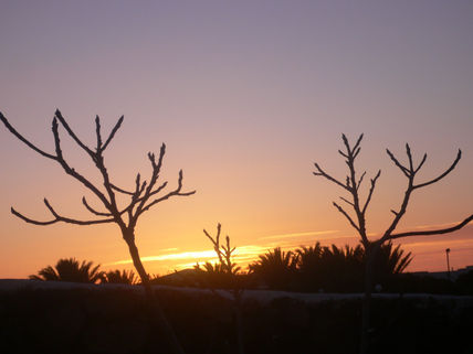 Atardecer